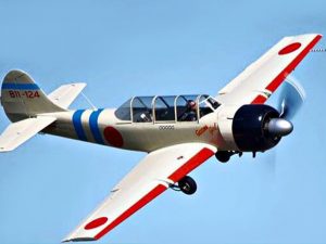 Jet Fighter: Adventure and Adrenaline flights in Australia - Yak 52